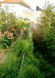 12burggarten.jpg